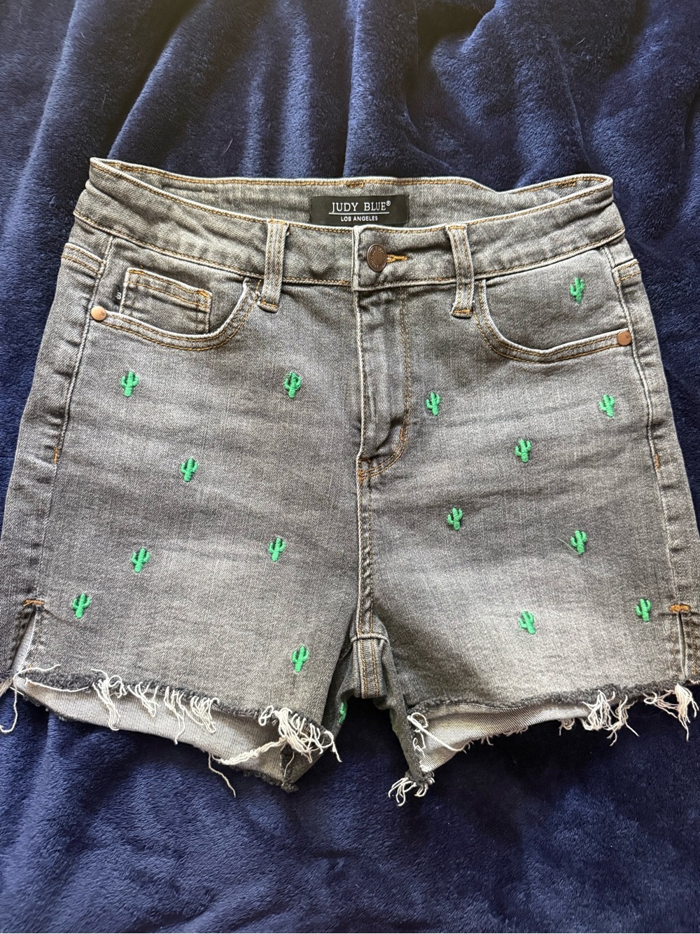 Judy Blue Gray Denim Shorts with Green Cactus Embroidery